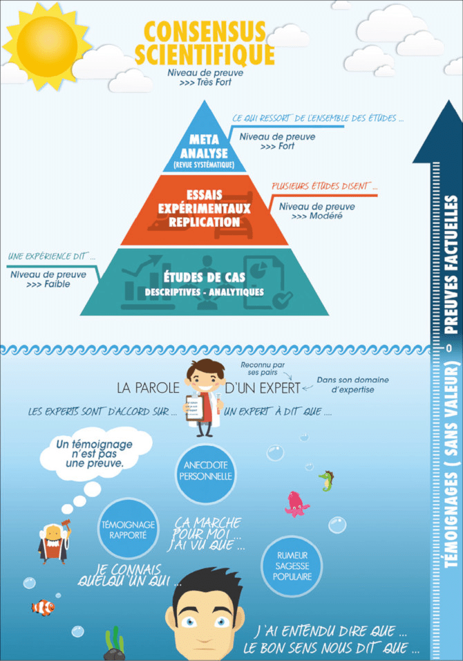 Pyramide niveau de preuve