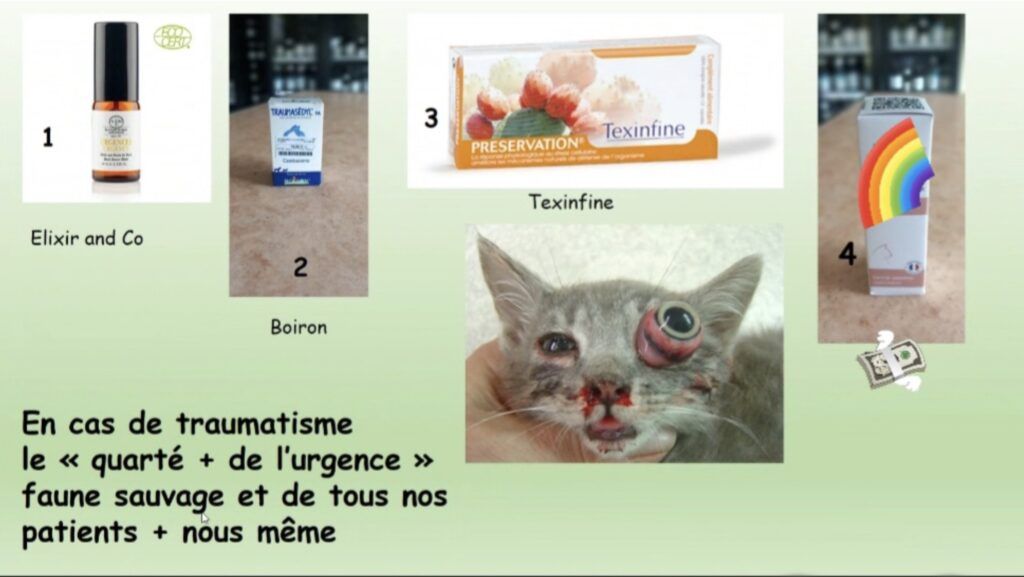 CBD, Fleur de Bach, Homéopathie, complémentation alimentaire : quarté fakemed traitement douleur énucléation.