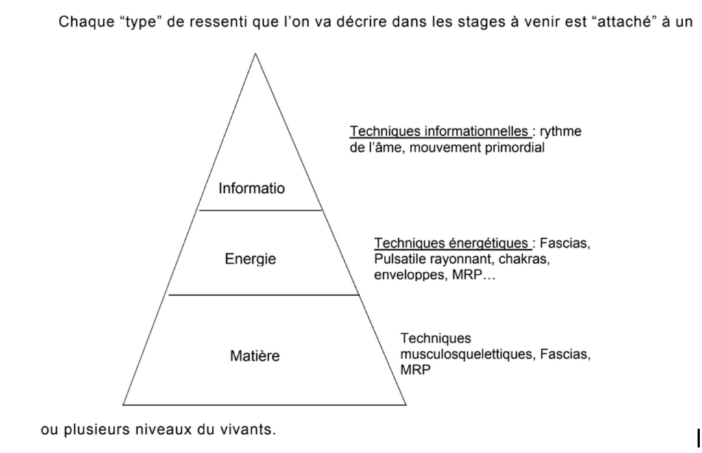 tripartition ostéopathie